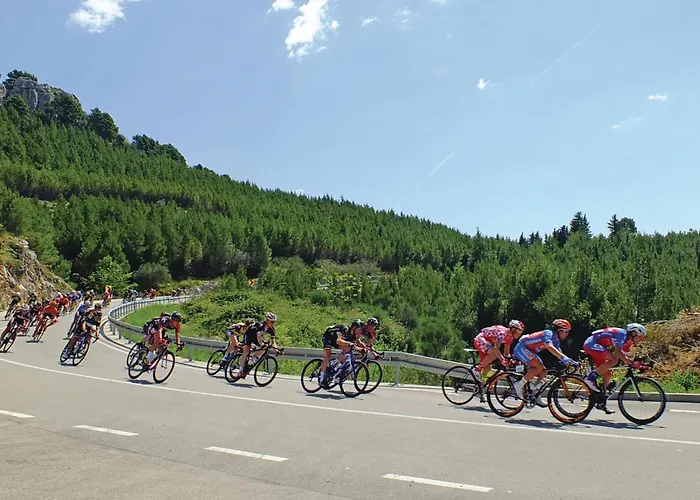 Vakantiehuis Lovely In With Sauna *